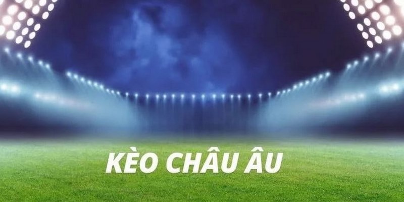 Tuân thủ theo những nguyên tắc để cá cược hiệu quả