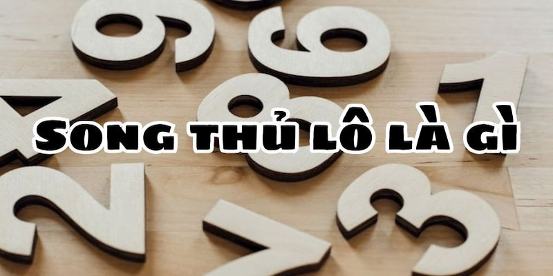 Giải thích khái niệm lô song thủ trong lĩnh vực cá cược