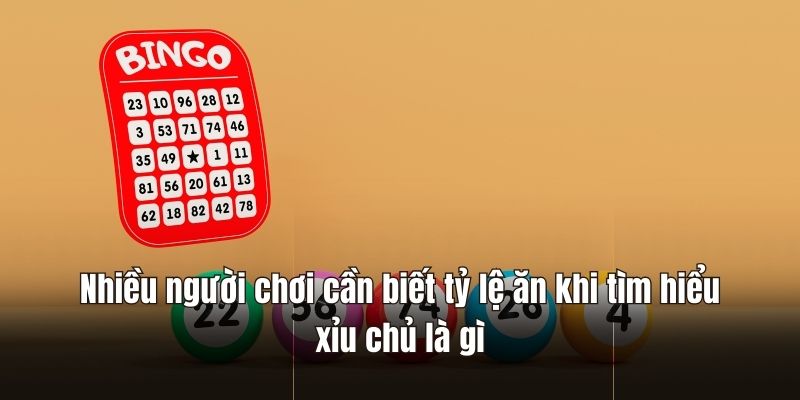 Nhiều người chơi cần biết tỷ lệ ăn khi tìm hiểu xỉu chủ là gì